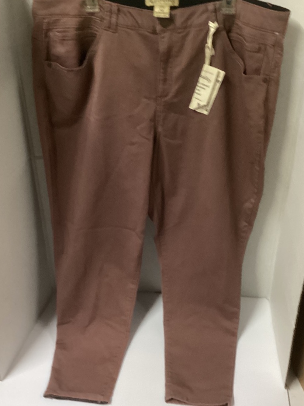 Democracy High-Rise Ankle Pants in Brown tone Mold and Hold